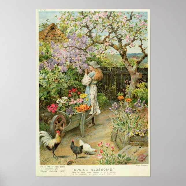 Póster Flores de primavera, de las peras anuales de 1902 (Frente)