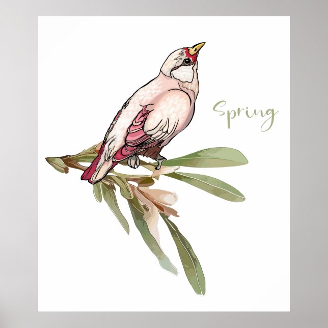 Póster Flores de primavera. Nevadas. (Frente)