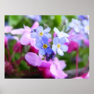 Póster Flores De Primavera Rosa Y Azul
