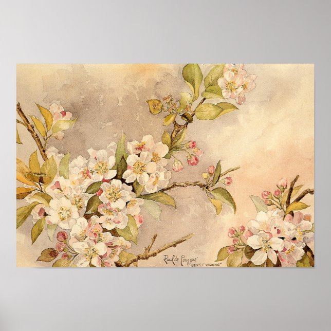 Póster Flores de primavera vintage (Frente)
