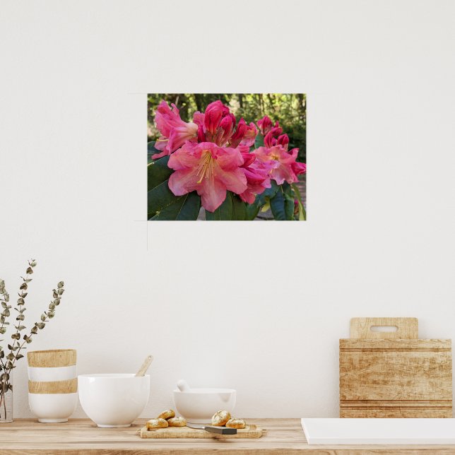 Póster Flores de Rhododendron Rosa (Cocina)