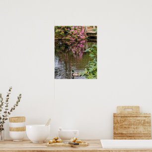 Póster Flores de Rhododendron Rosa Reflejadas en el Agua