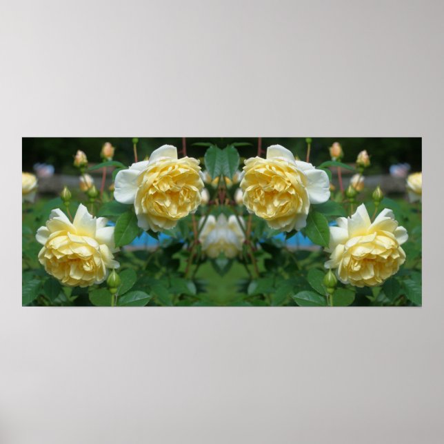 Póster Flores de Rosa Amarilla Espejo Abstracto (Frente)