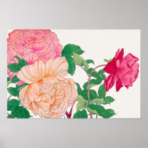 Póster Flores de rosa naranja pálido y rosa
