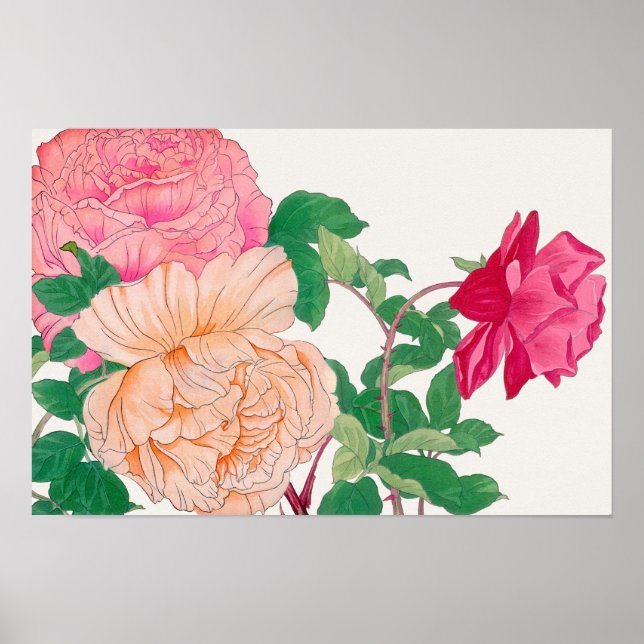 Póster Flores de rosa naranja pálido y rosa (Frente)