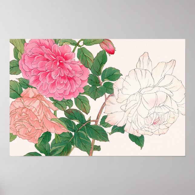 Póster Flores de rosa rosadas y blancas con hojas verdes (Frente)