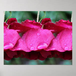 Póster Flores De Rosas Rojas Y Lluvias En Baldosas