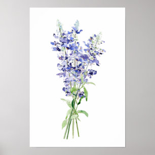 Póster flores de salvia de mealycup azul buquet acuarela