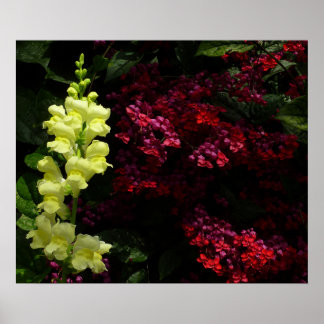 Póster Flores de Snapdragon y Pagoda coloridas