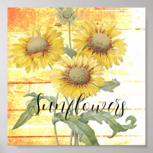 Póster Flores de sol en madera