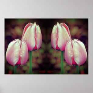 Póster Flores de Tulipán Rosa Gotitas de Lluvia Espejo Ar