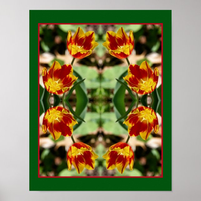 Póster Flores De Tulipanes Rojas Y Amarillas Ferosionadas (Frente)