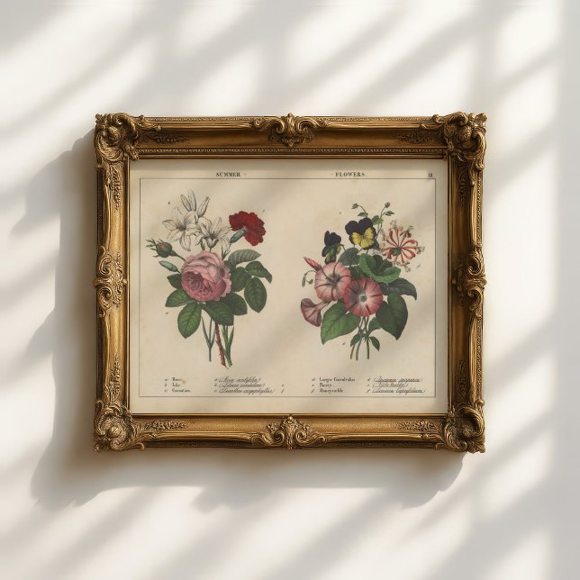 Póster Flores de verano | Charlotte Mary Yonge (Subido por el creador)