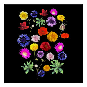Póster flores de verano coloridas sobre fondo negro