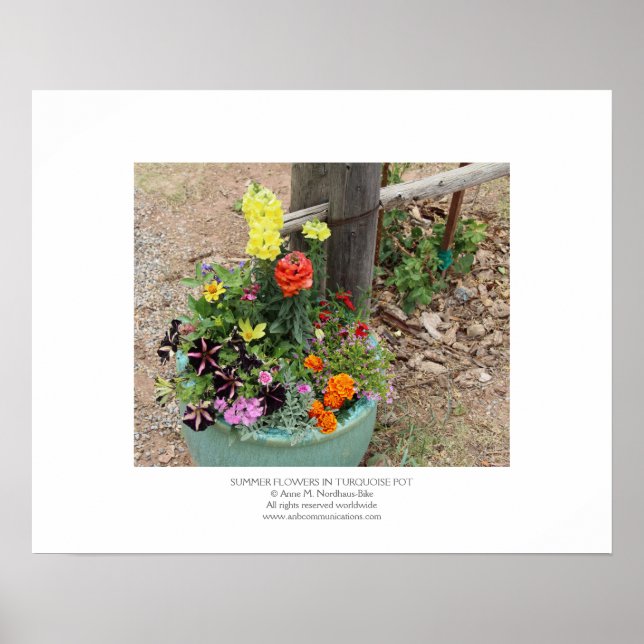 Póster Flores de verano en maceta turquesa (Frente)