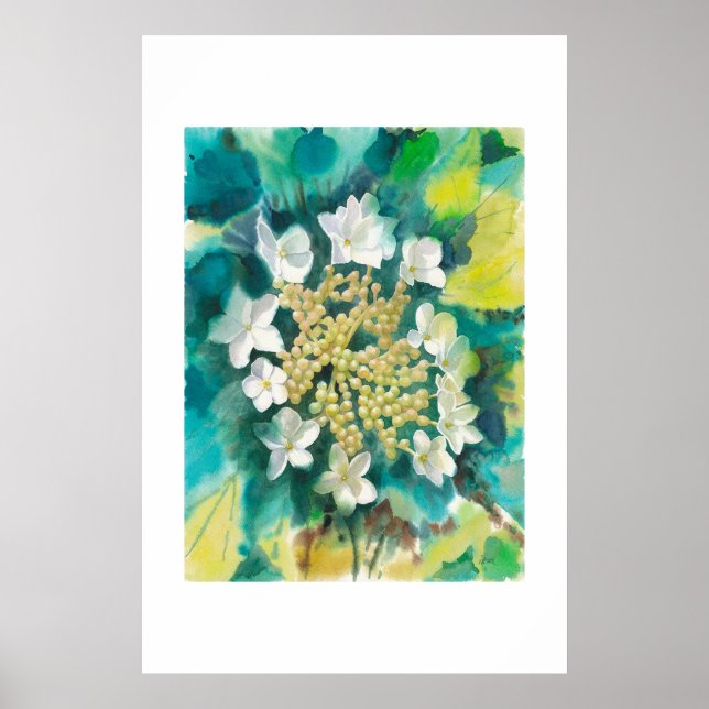 Póster Flores de Viburnum (Frente)