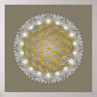 FLORES DE VIDA - Luz de Geometrio Sagrada 1