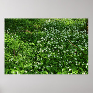 Póster Flores de Woodland