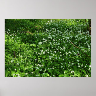 Póster Flores de Woodland