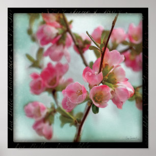 Póster Flores del membrillo