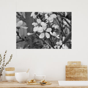 Póster Flores Delicadas 3623