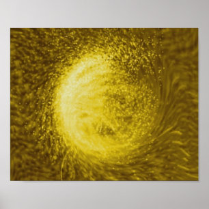 Póster Flores doradas