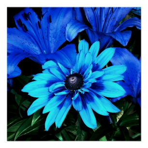 Póster Flores Electric Blue