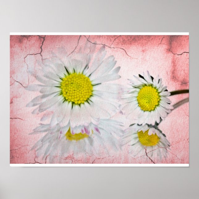 Póster Flores Elegantes Chic Mod Floral Rosa Dainty (Frente)