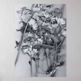 Póster Flores en blanco y negro