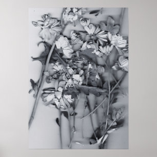 Póster Flores en blanco y negro