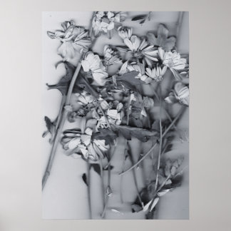Póster Flores en blanco y negro
