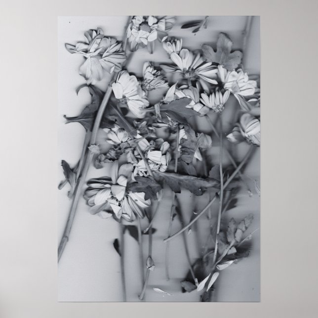 Póster Flores en blanco y negro (Frente)