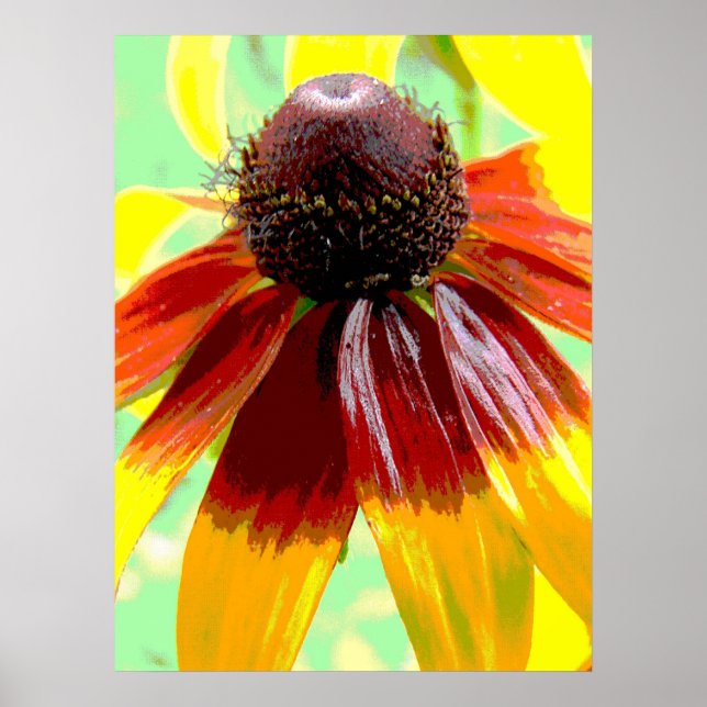 Póster Flores en el jardín de plantas (Frente)