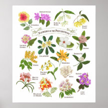 Flores en Filipinas