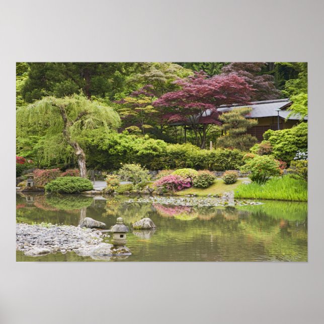Póster Flores en flor en el Jardín Japonés, (Frente)