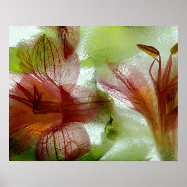 Póster Flores en hielo (Frente)