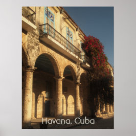Póster Flores en la Plaza de la Catedral, Poster de La Ha