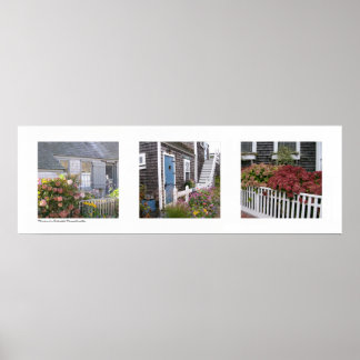 Póster Flores en Nantucket, Massachusetts Triptych
