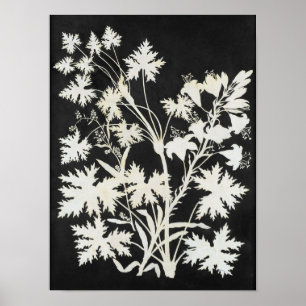 Póster Flores en Silhouette