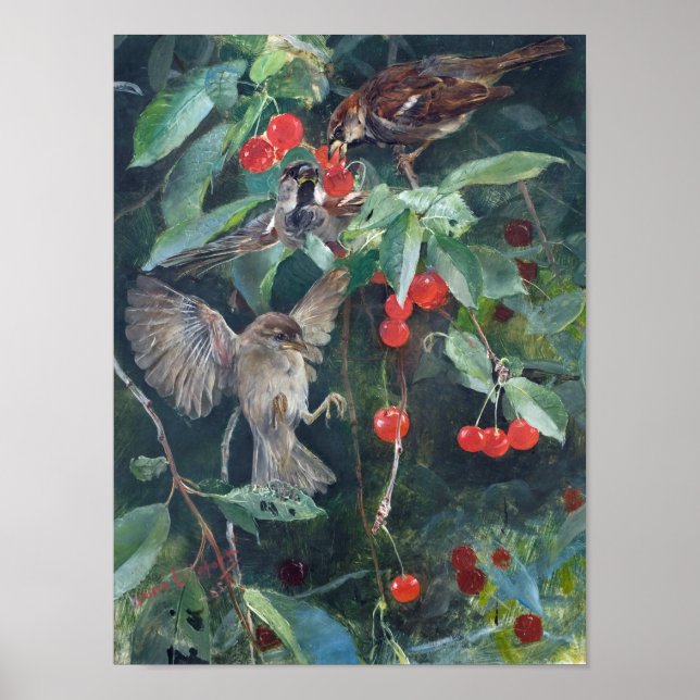 Póster Flores en un cerezo, Bruno Liljefors (Frente)