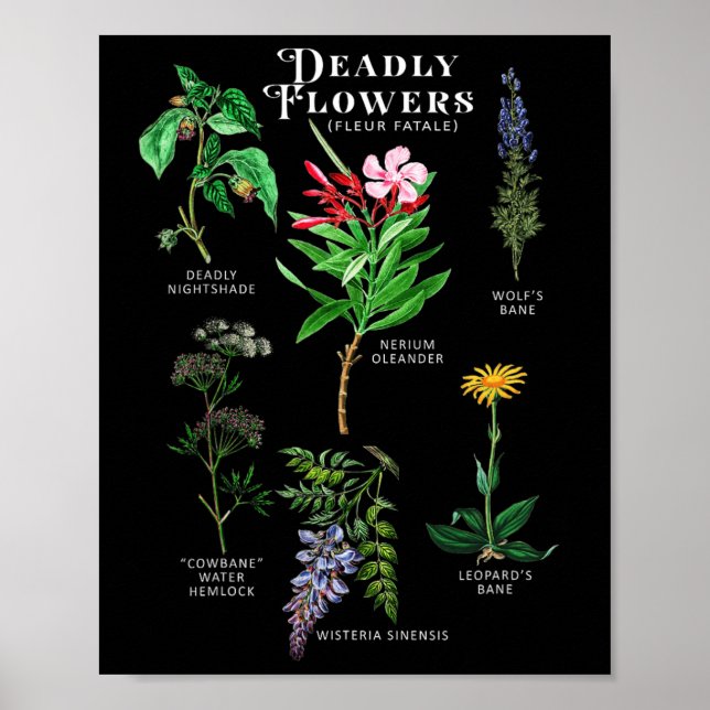 Póster Flores envenenadas Fleur Fatale Planta Halloween G (Frente)