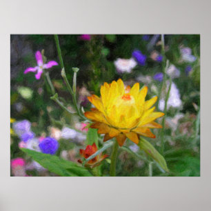 Póster Flores eternas.