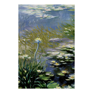 Póster Flores exuberantes de Agapanthus en Giverny