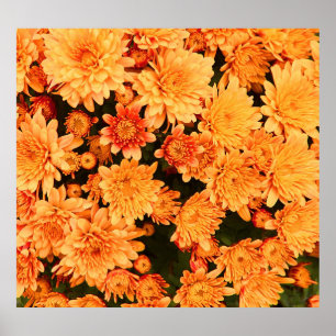 Póster Flores florecientes, fondo colorido.