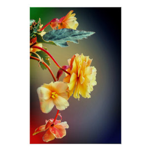 Póster Flores, flores amarillas, Petales