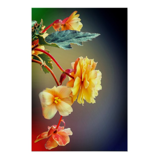 Póster Flores, flores amarillas, Petales (Anverso)