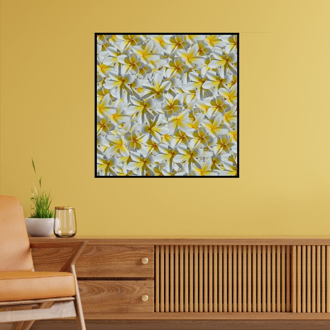 Póster Flores Frangipanis Amarillas Y Blancas, (Salón 2)