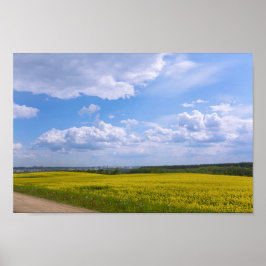 Póster Flores Grodno Canola Fields de Bielorrusia