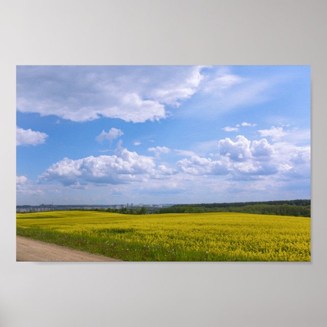 Póster Flores Grodno Canola Fields de Bielorrusia (Frente)