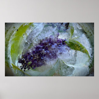 Póster Flores Heladas